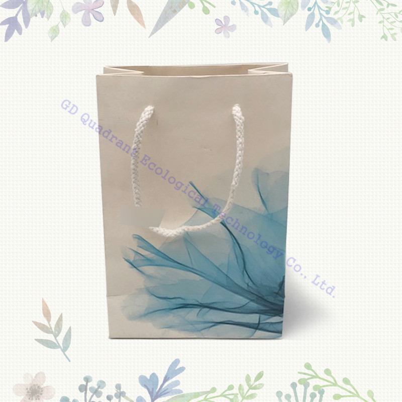 Paper bag01