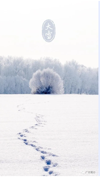 大雪 | 初心如雪 堅(jiān)韌前行